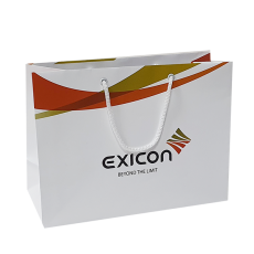 exicon