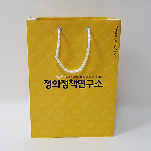 정책연구소 250스노우