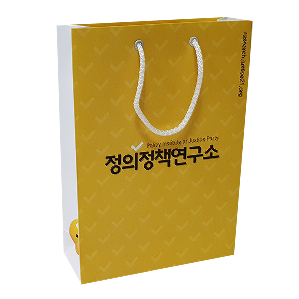 정책연구소 250스노우