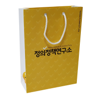 정책연구소 250스노우