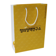 정책연구소 250스노우